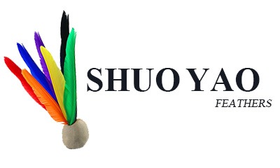 Shuoyao