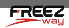 Freezway