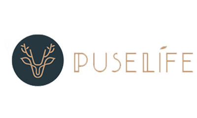 PUSELIFE