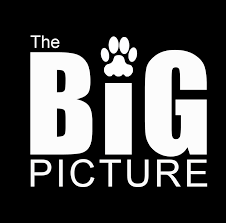Big picture pet craftsman