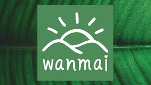 WANMAI29