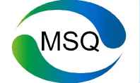 MSQ