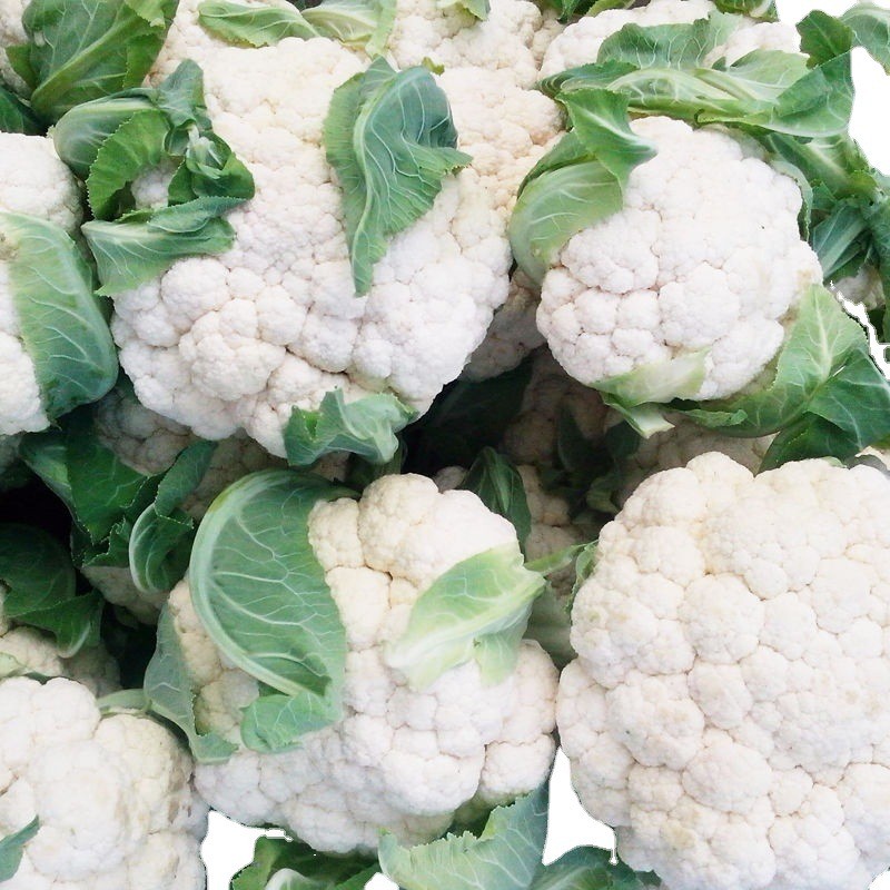 High Quality Fresh Vegetable Exporter Healthy White Cauliflower