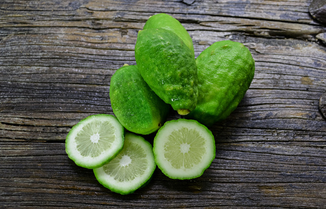 Wholesale Premium Fresh Fruit Green Sour Taste Seedless Lemon