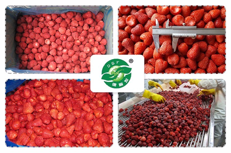 frozen fruits with high quality good price frozen strawberry whole
