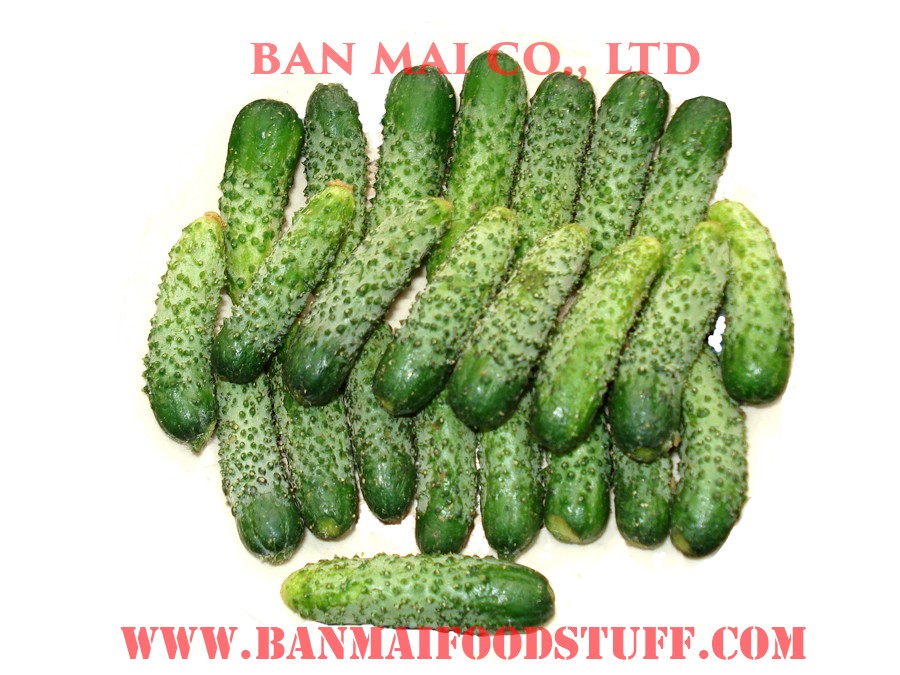 Canned Pickled cucumber from Vietnam