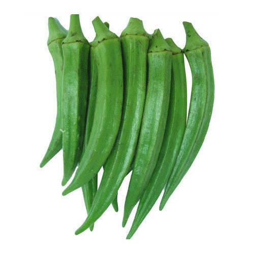 Wholesale Price Okra Vegetables Chips Okra Prices Customize Bulk Style Storage Cool Packing Food Color Weight