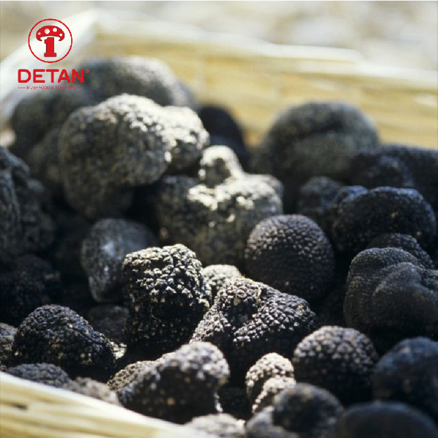 Detan Export Fresh Summer Black Truffles Are Full Of Aroma And Are Served In Restaurants