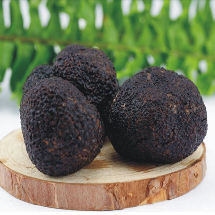 high quality fresh black summer truffle mushroom export