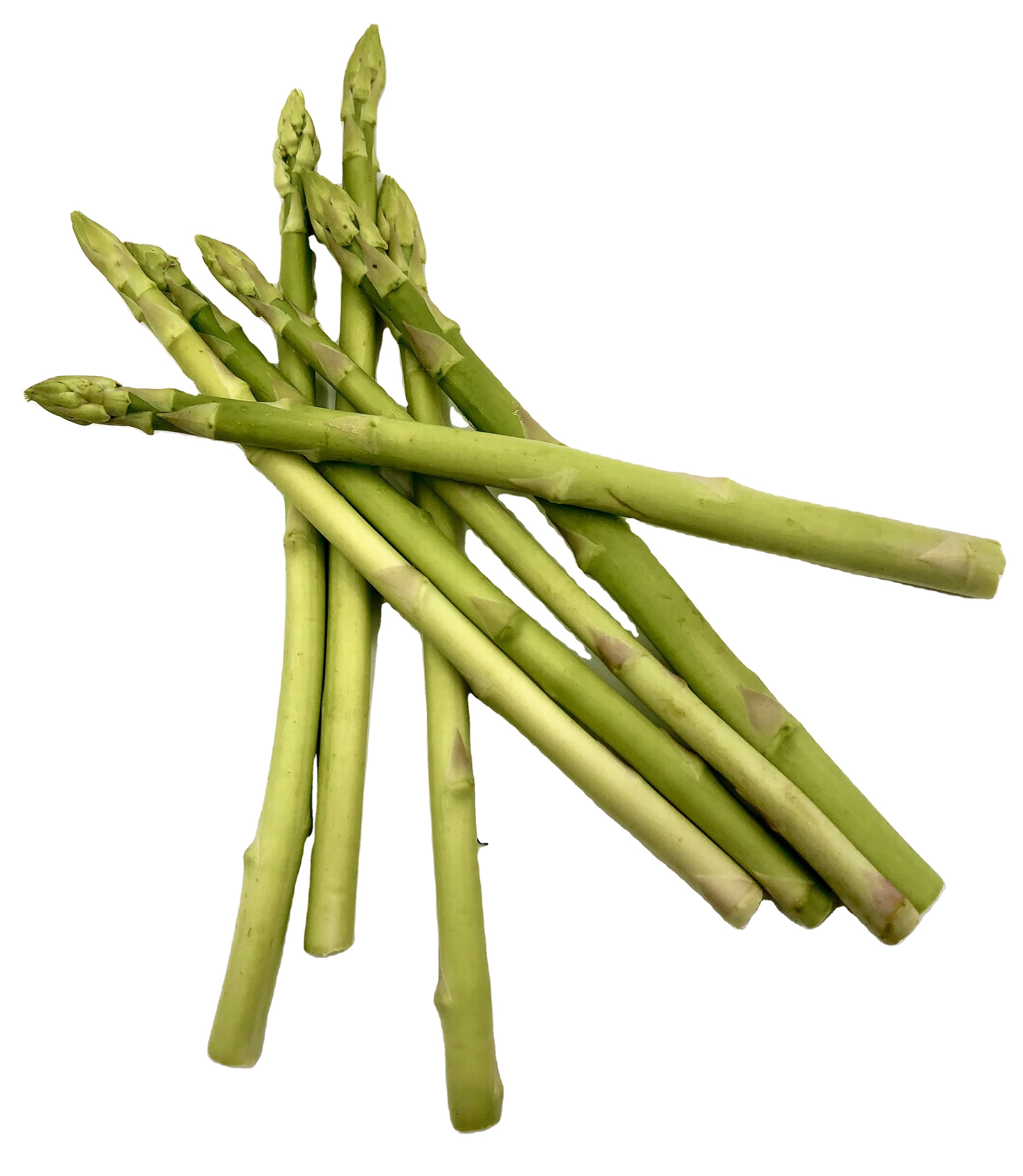 Asparagus, Fresh asparagus