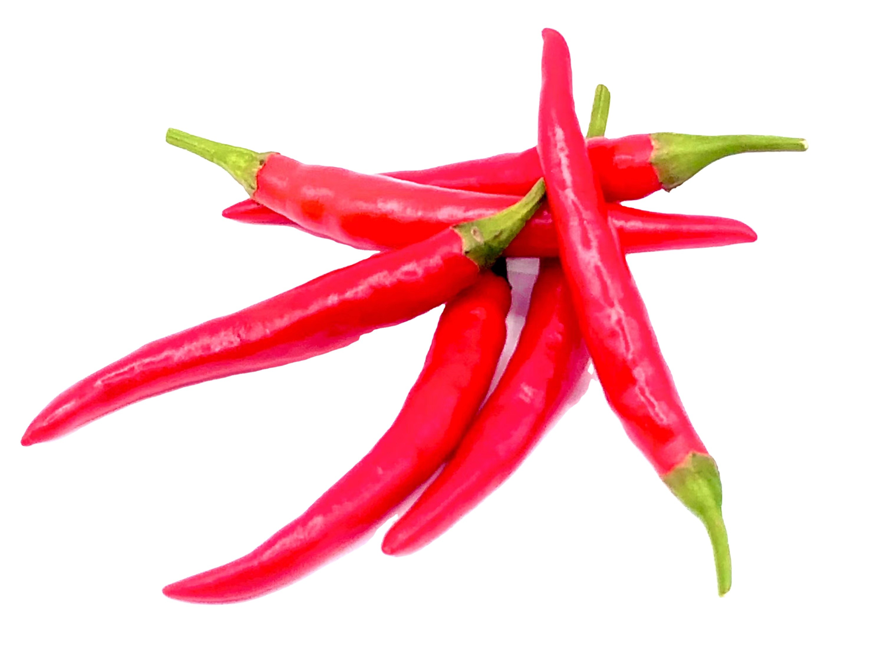 Red Chili Premium high quality