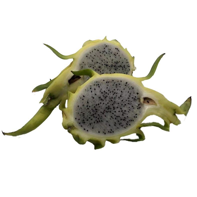 Premium Quality Imported Grade Yellow Dragon Fruit Temperature measuring Quality Selecting Fresh Dragon Fruit