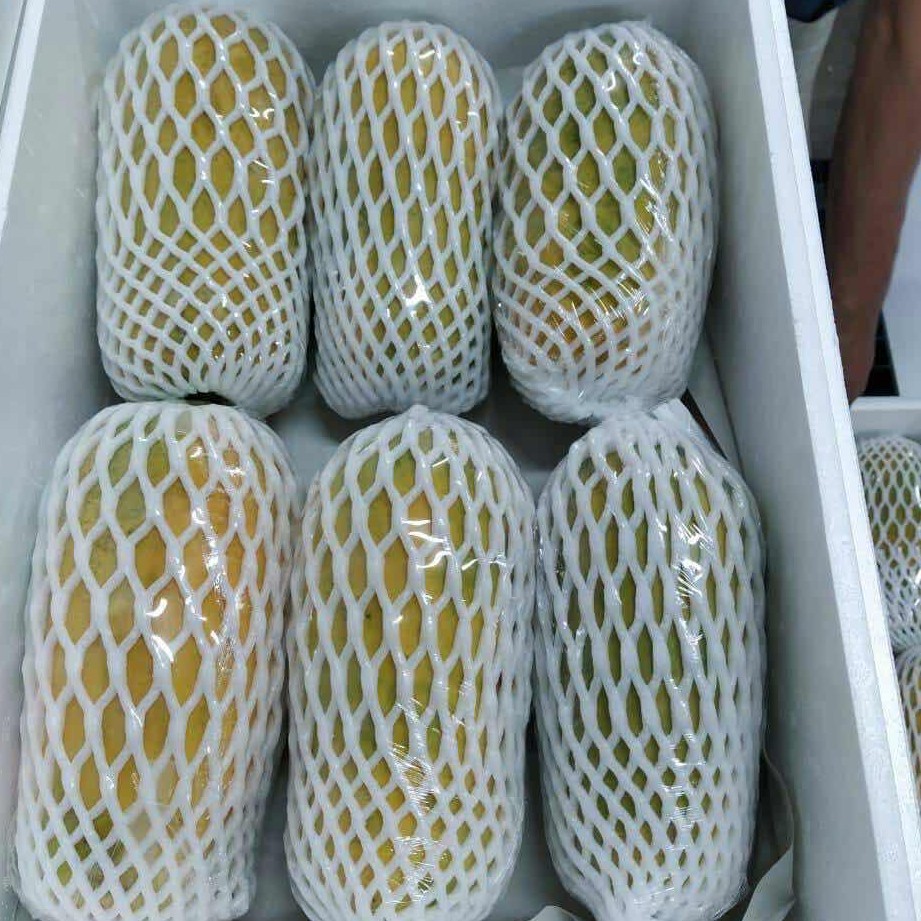 Fresh Papaya