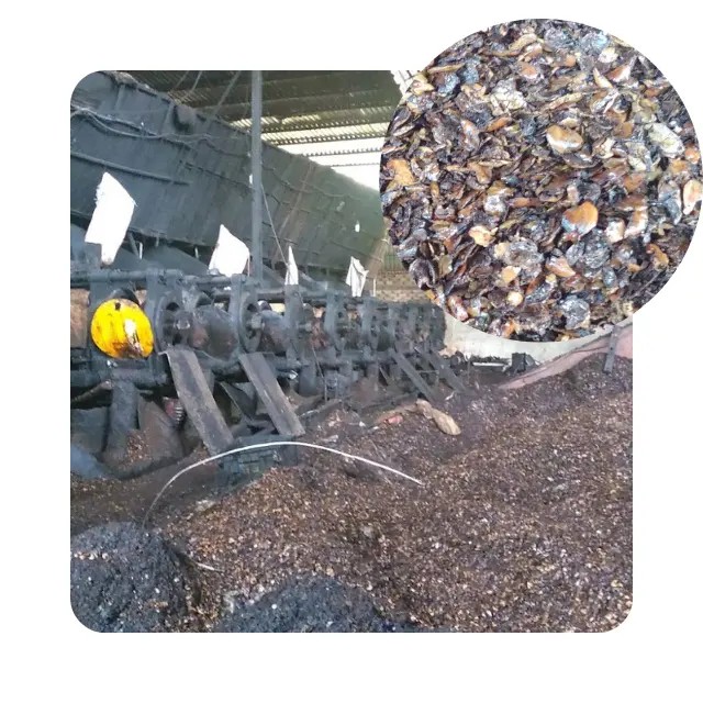 Good Promotion Wooden Pellet Biomass Cashew Nut Shell Extracted Pellets Vietnam cashew nut shell extracted pellet