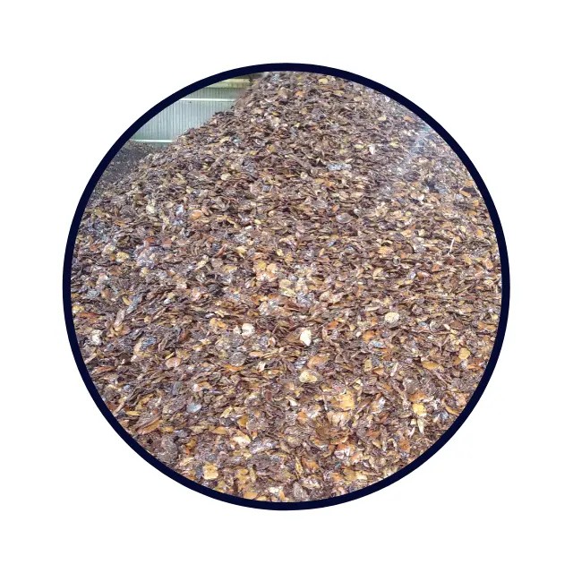 CASHEW NUT SHELL EXTRACTED from VietNam
