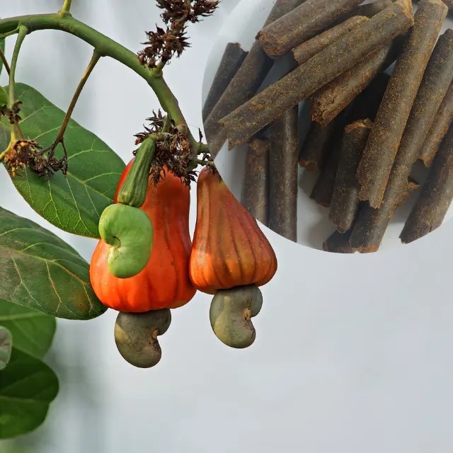 Cashew Nut Shell Extraction CNSE Pellet from VietNam
