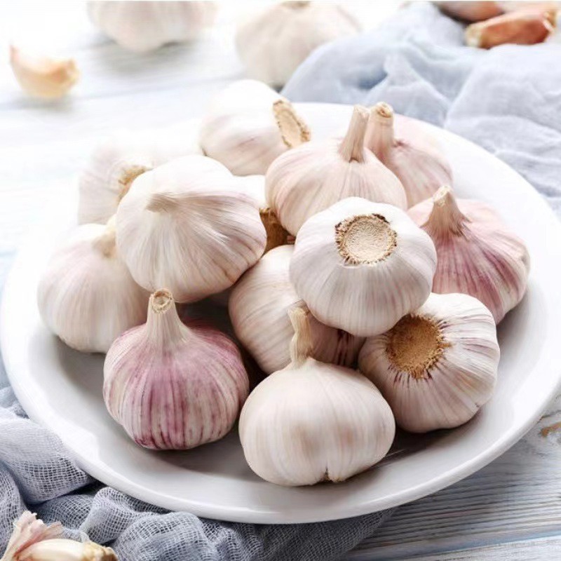 Export Chinese organic fresh pure white garlic
