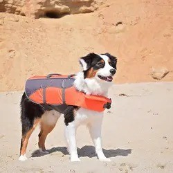 Affordable price water safety products dog swimming safety vest watersports pet dog life jacket