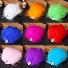 2022 Women Natural Feather Hair Headdress Girl Dance Performance Performance Hairpin Accessories