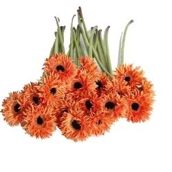 00:01 00:31  View larger image Add to Compare  Share Gerbera Daisies 20 Stems of Assorted Color Fresh Cut Flowers Fresh Cut Ideal for Wholesale Florists & Events