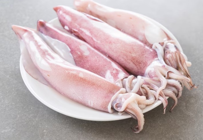 Best Quality Export Oriented Wholesale Cheap Price New Products Direct Factory Manufacturer Frozen Squid Seafoods From Indonesia