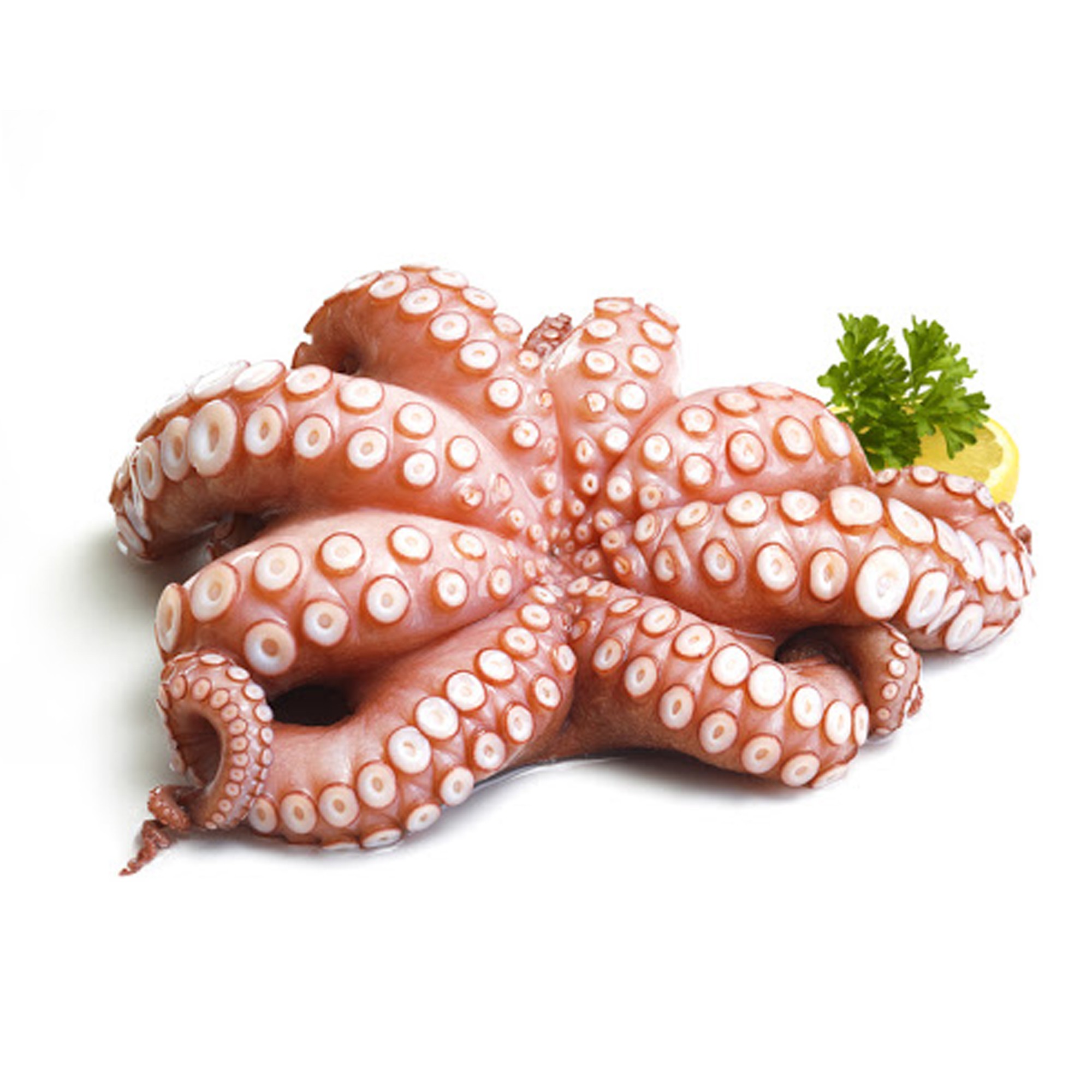 Top Grade High Quality Export Oriented Wholesale Price Best Seller Frozen Big Octopus Whole Round Best Quality Origin Indonesia