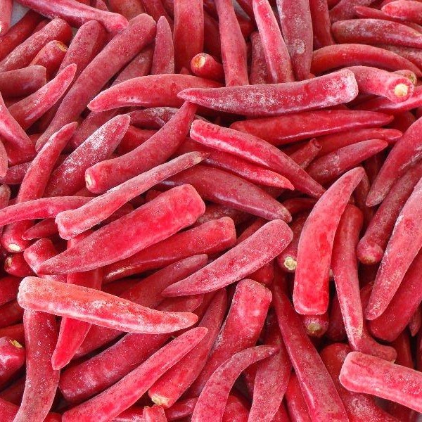 HOT FROZEN CHILI FOR SPICES - PREMIUM FRESH HOT CHILI IN FROZEN