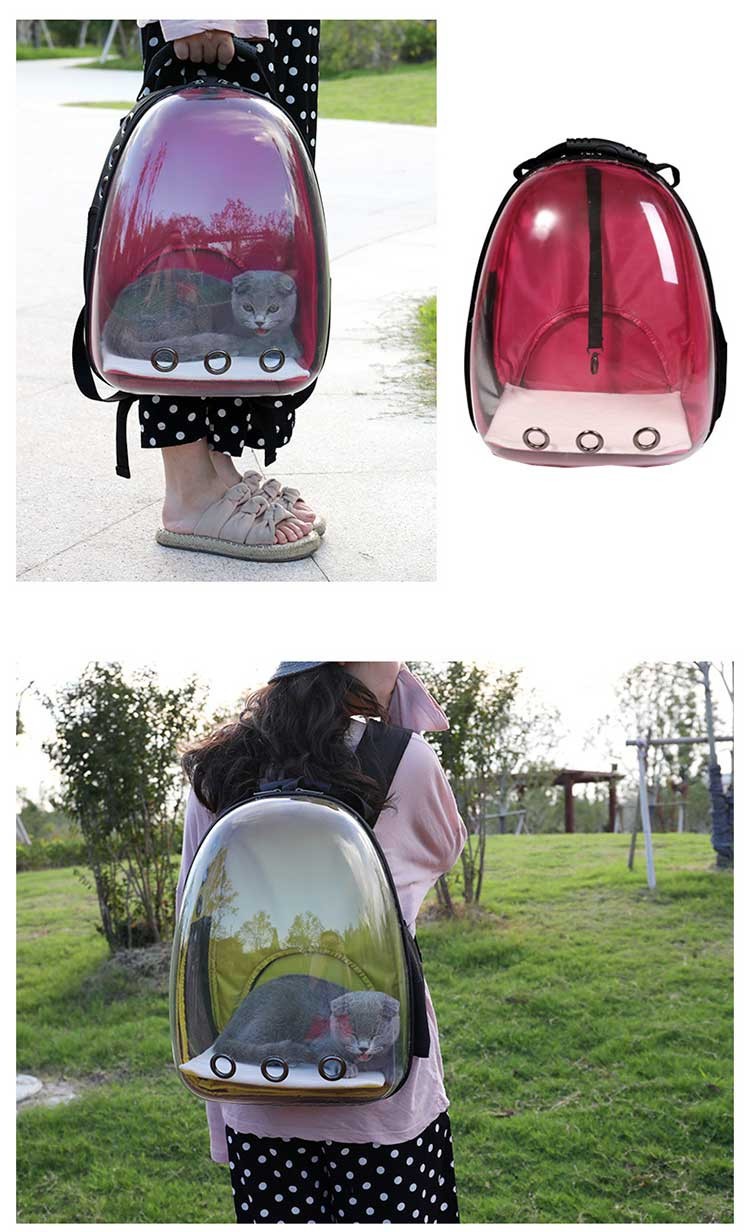 Best selling products 2023 pet capsule backpack tas kucing astronaut bubble window pet backpack