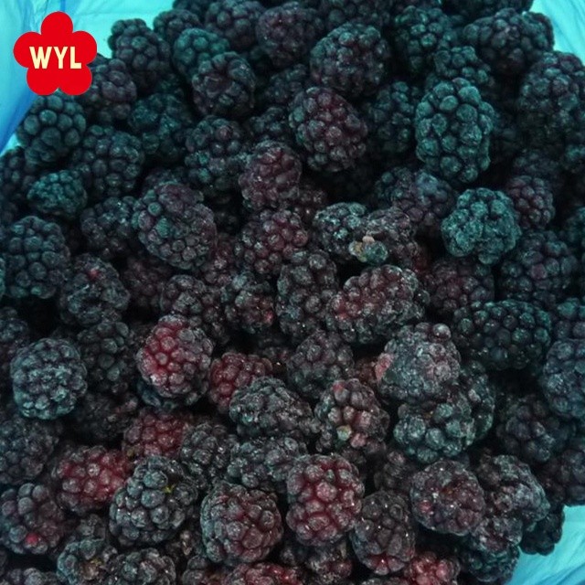 IQF blackberry whole cheap price frozen blackberry iqf fruits