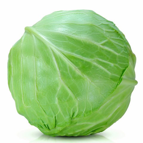 RED FRESH WHOLE CABBAGE GREEN AND RED