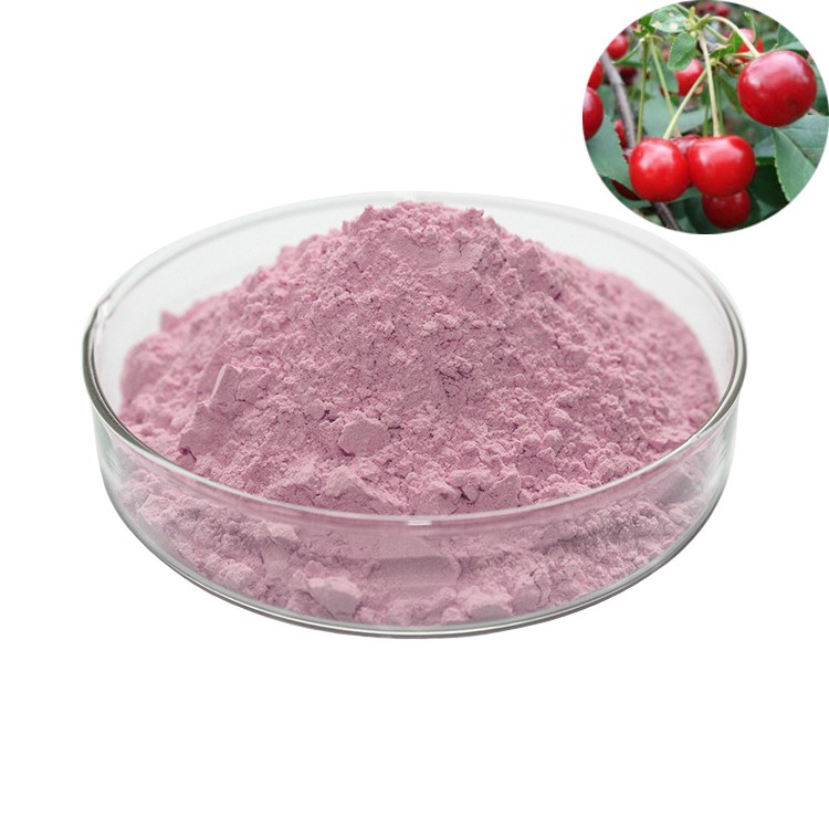 High Quality Pure Plant extracts tart Cherry Extract