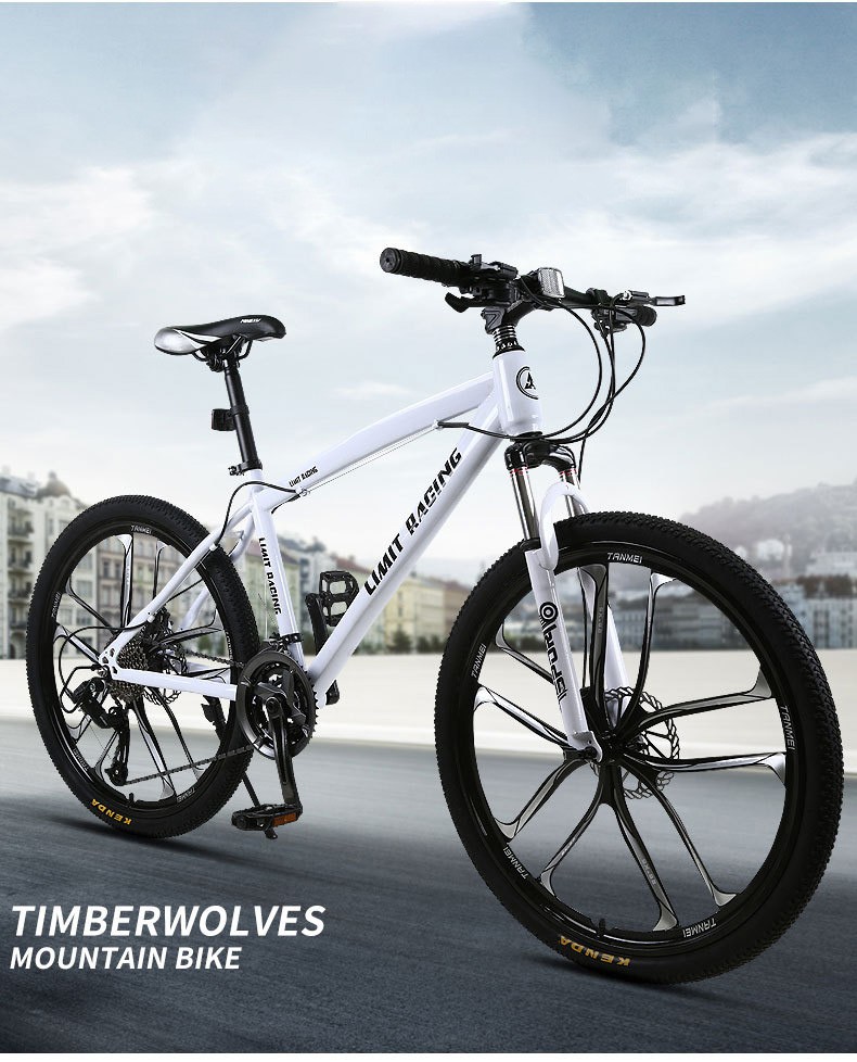 Factory Supply 21/24/27 Speed Carbon Frame Disc Brake Mtb Cycle Shock Absorption 26/27.5/29 Inch Bicycle Mountain Bike