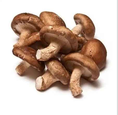 Organic mushroom green shiitake mushroom