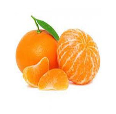 Top Quality Fresh Mandarin Egypt Origin Tangerine Wholesale Sweet Citrus Fruits New Crop OEM Private Label Fast Shipping