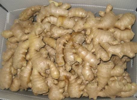 Dried Ginger For Tea From Vietnam