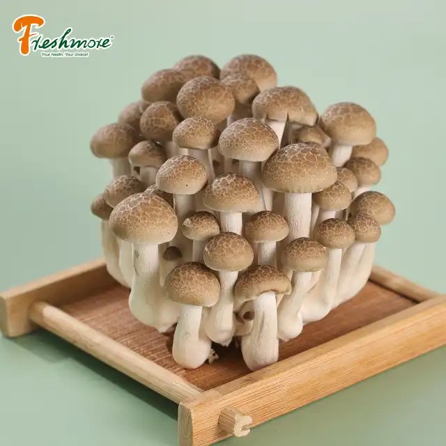 Finc fresh white mushrooms the king oyster mushroom low price