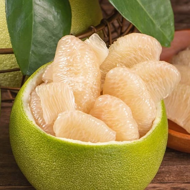 Ready To Export Fresh Grape Fruit Tropical Fruits From Vietnam