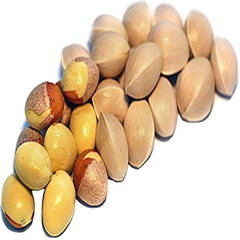 Quality Ginkgo Nuts For Sale / Wholesale shelled ginkgo nuts / Ginkgo Nuts