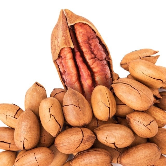 High Quality Dried Soybean Bulk Yellow Soybean For Wholesale At Cheap price