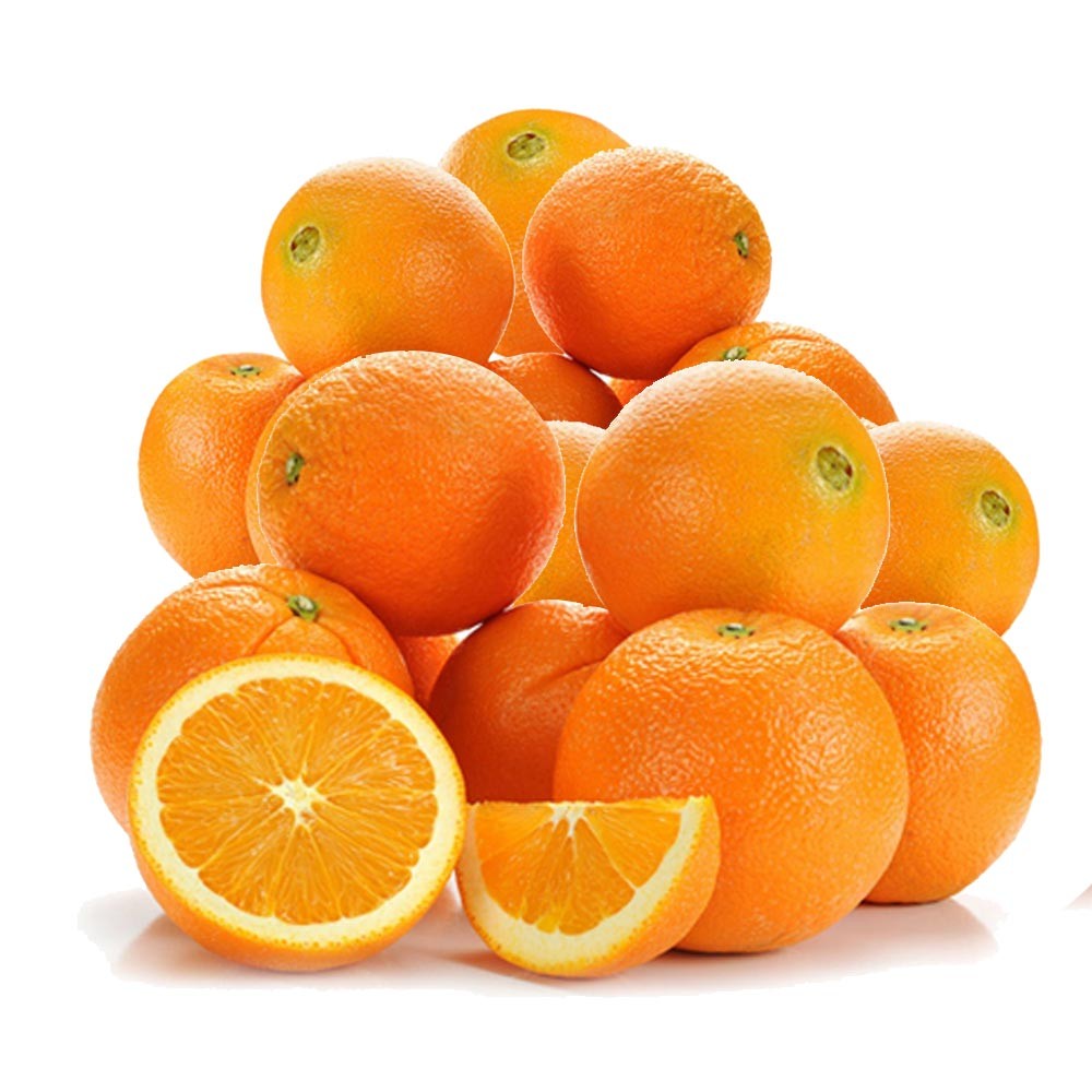 Sweet Wholesale Price Fresh Fruit Valencia Orange
