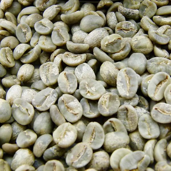 Buy Premium Grade Green Arabica Coffee Beans