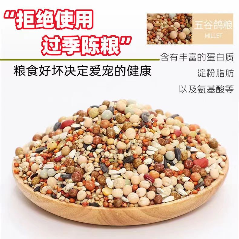 Pigeon food birdseed Pet food