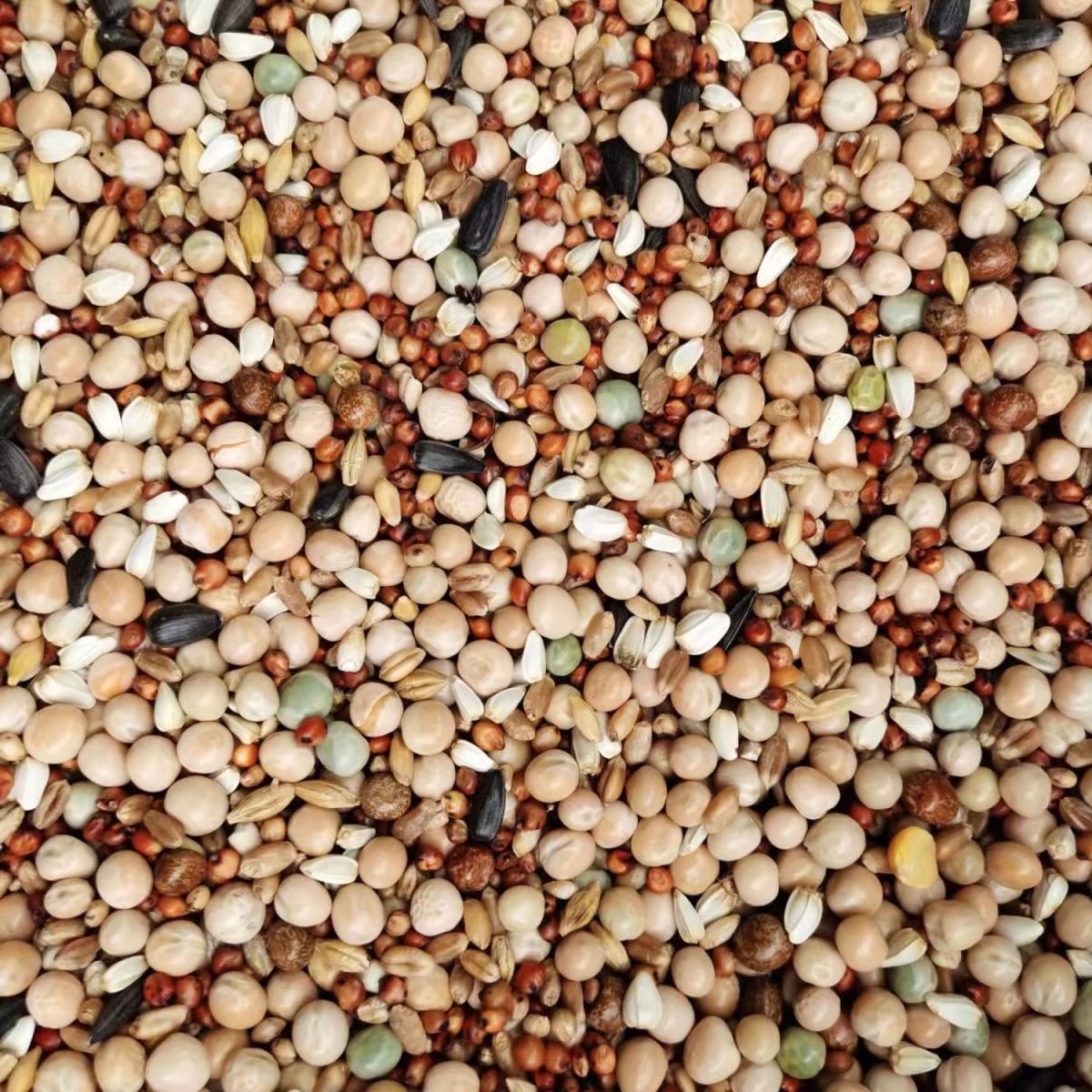 High Quality Almond Nuts / Raw Natural Almond Nuts / Organic Almonds For Sale California Almonds For Export