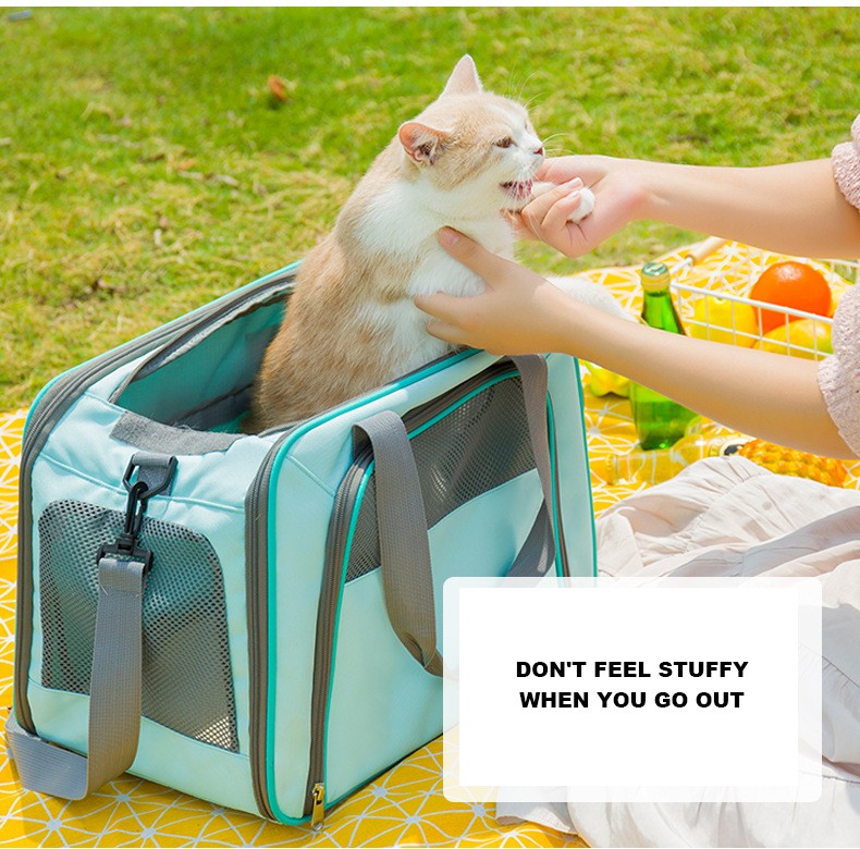 New Products Pet supplies package portable bag breathable large out cat bag pet handbag