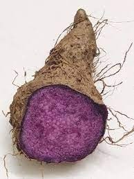 WHOLESALE AGRICULTURAL FRESH PURPLE YAM- TOP VEGETABLES EXPORTERS