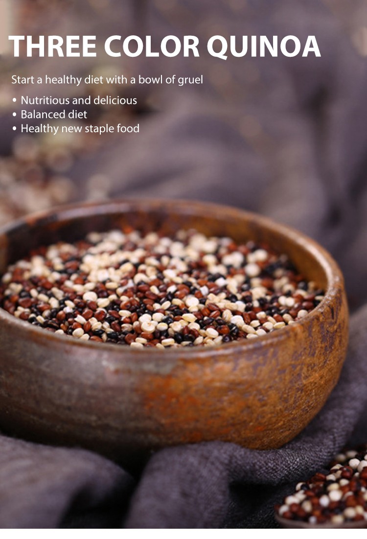 High quality nutrition healty cholesterol-free organic black/white/red quinoa grain