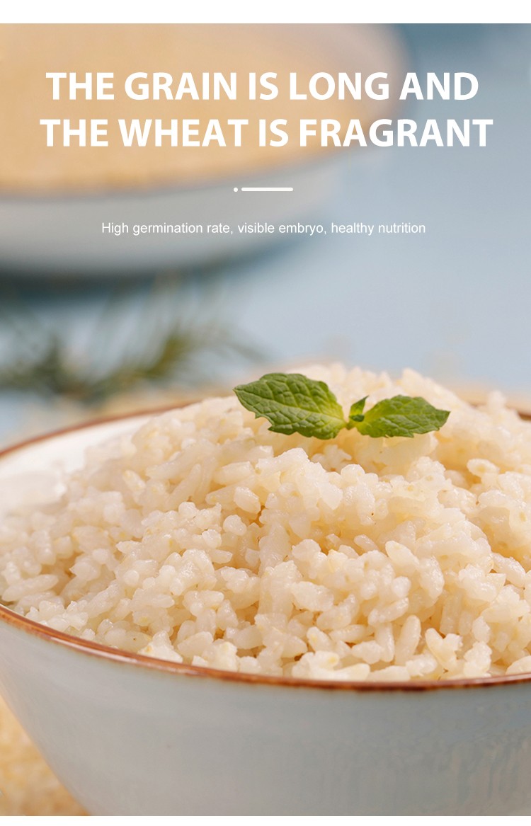 Top Quality Hulled Oats/ Oats Grains oat groats