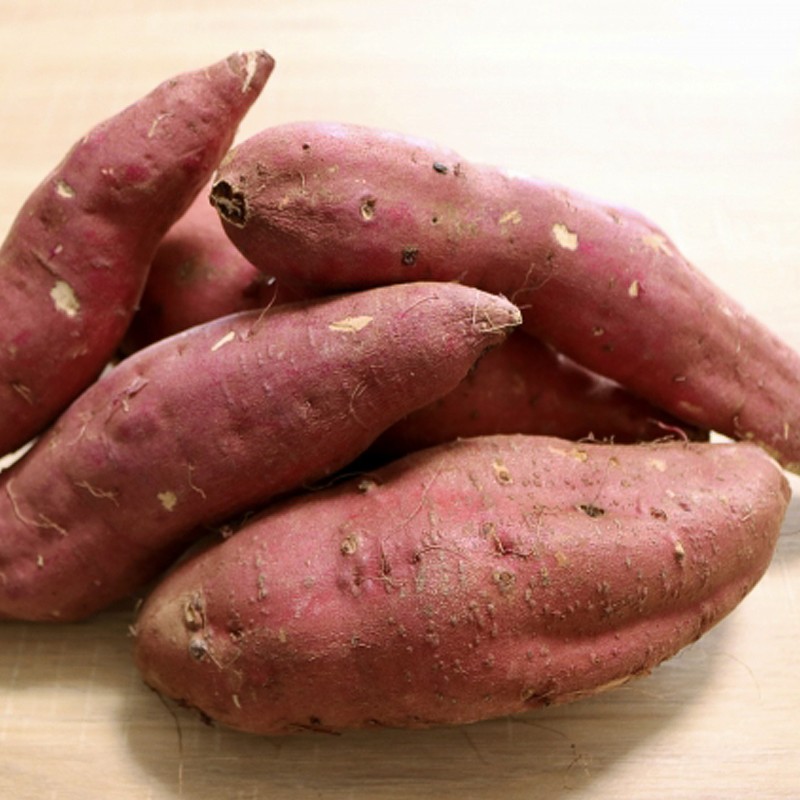 High quality sweet potato market price fresh vegetables 2023