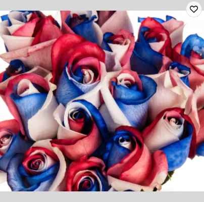 Tinted blue fresh cut rose directly from Ecuador