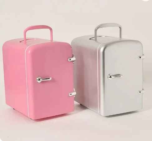 4Liters portable 6 cans mini Refrigerators & Freezers dc ac